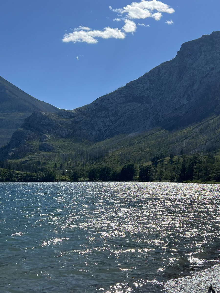 Youso걸 tweet media