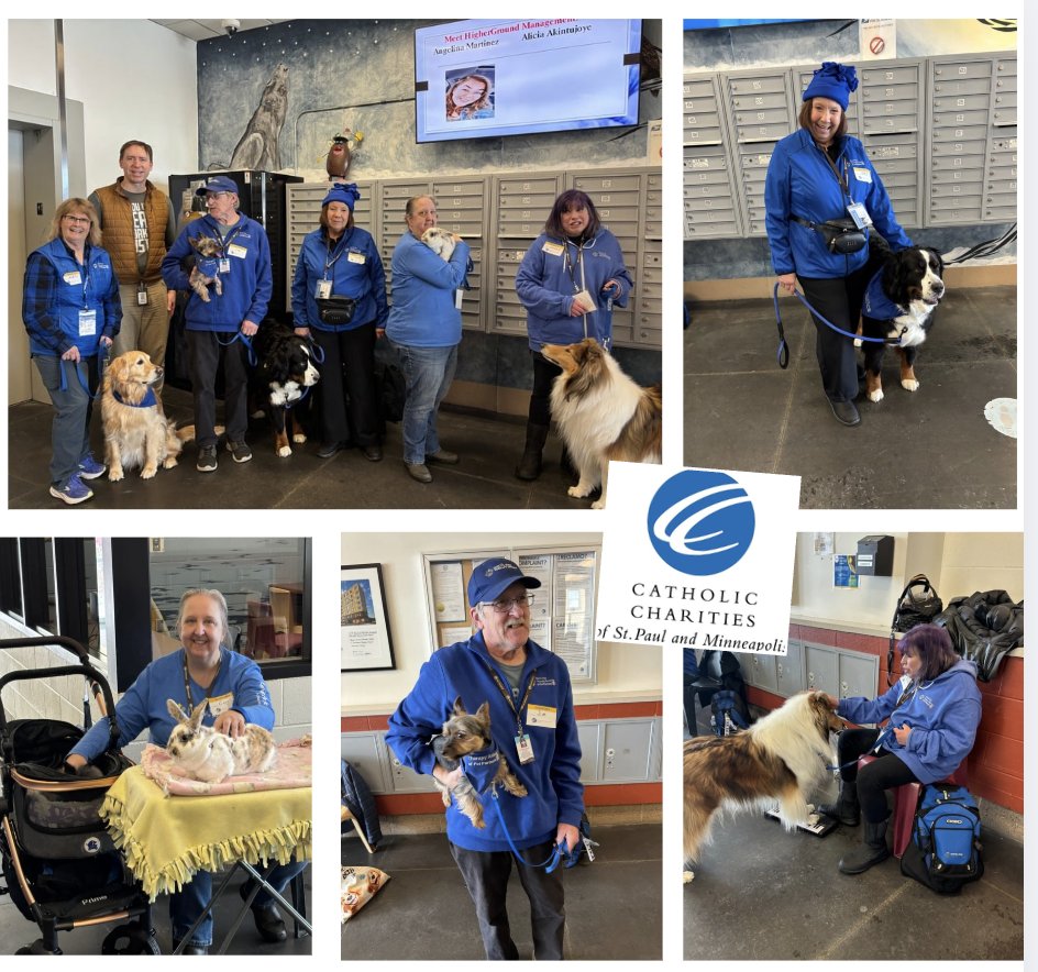 North Star Therapy Animals of Pet Partners tweet media