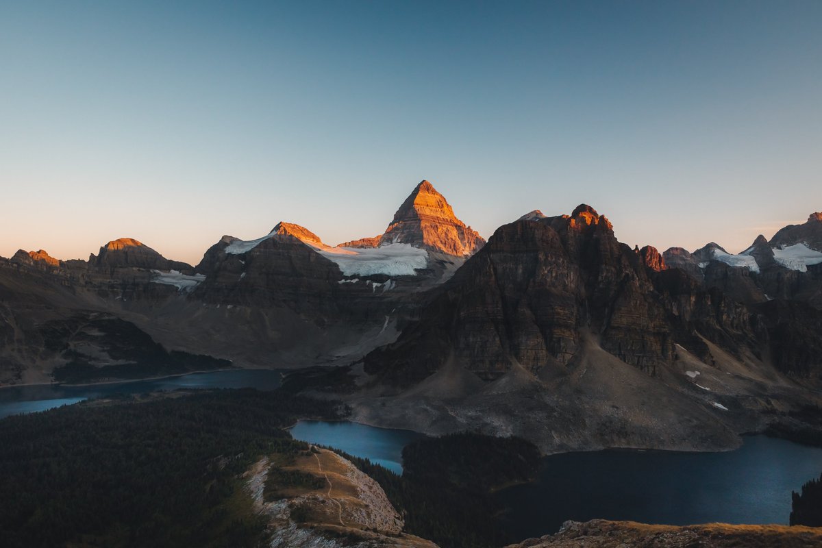 Alex Mack tweet media