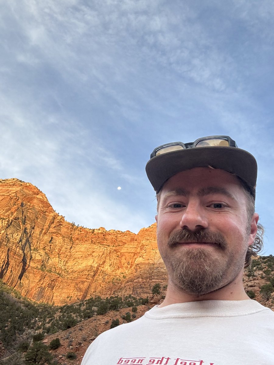 bargain pothole tweet media