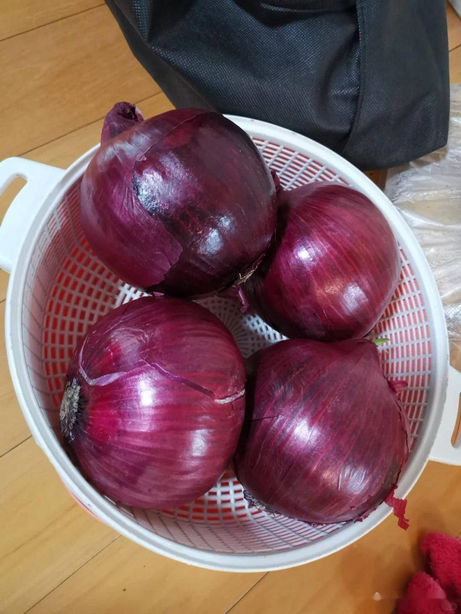 ismaila k cham tweet media