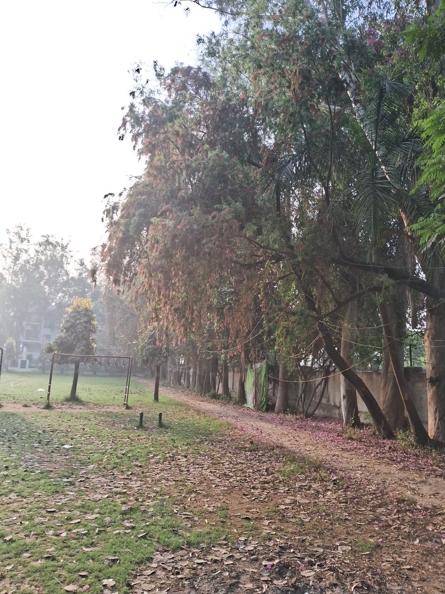 penguin⁷ tweet media