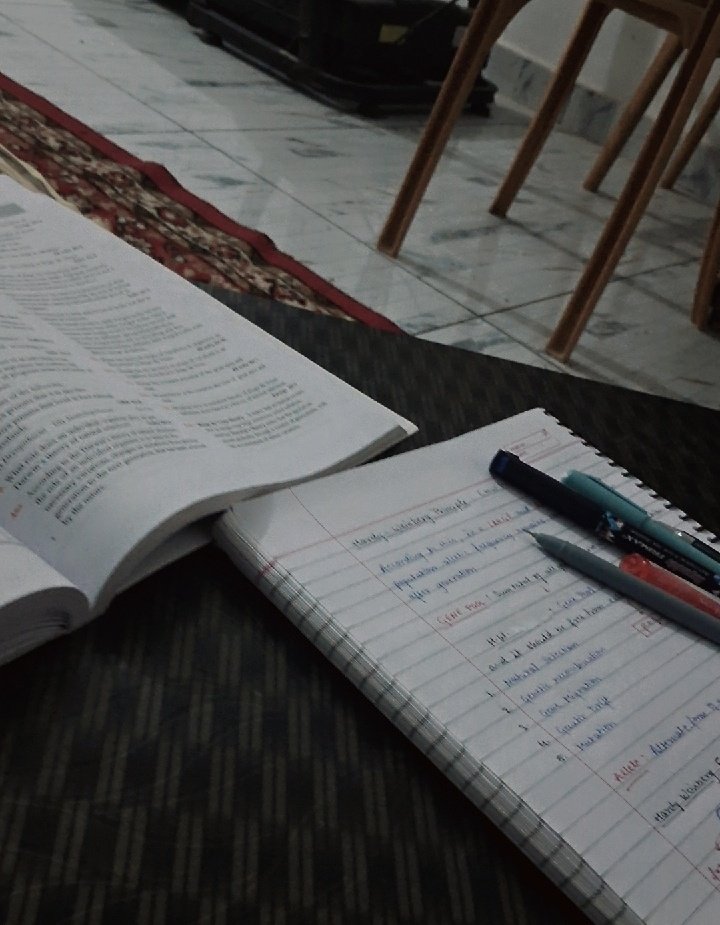 penguin⁷ tweet media