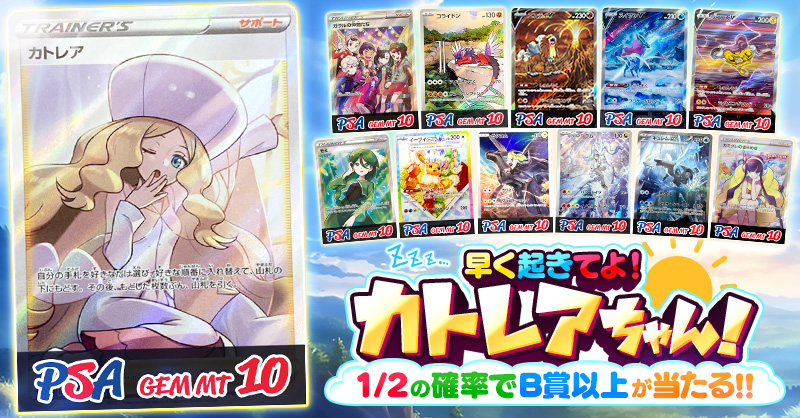 ビクトレ🏴‍☠️ビクトリートレジャー tweet media