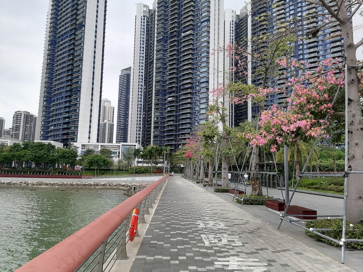 Cathrine Callythine tweet media