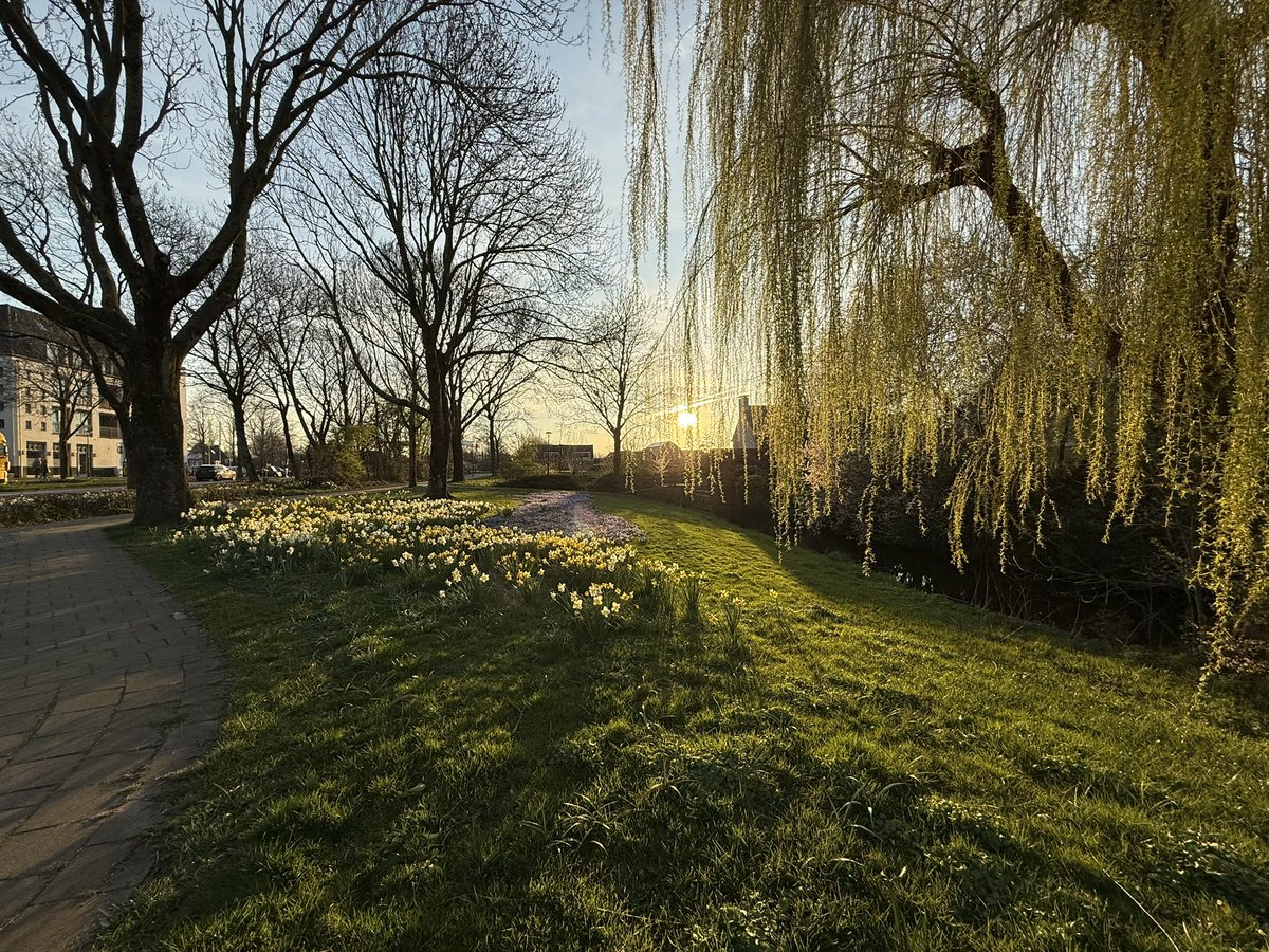 Dion Forster tweet media