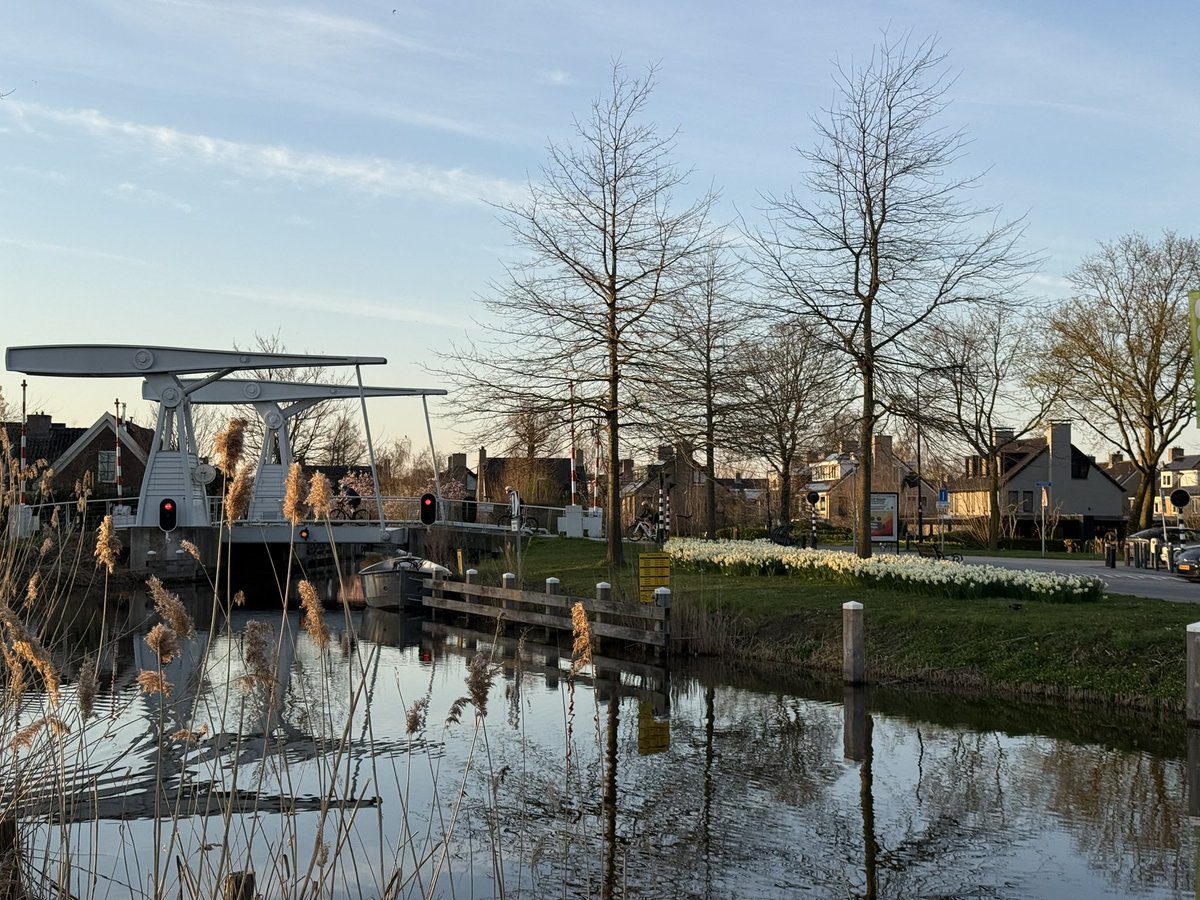 Dion Forster tweet media