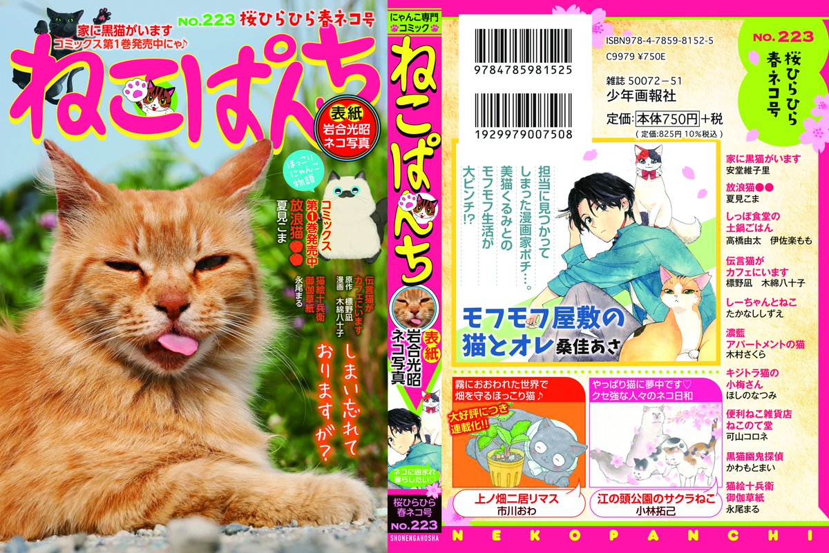 ねこぱんち編集部＠公式 tweet media