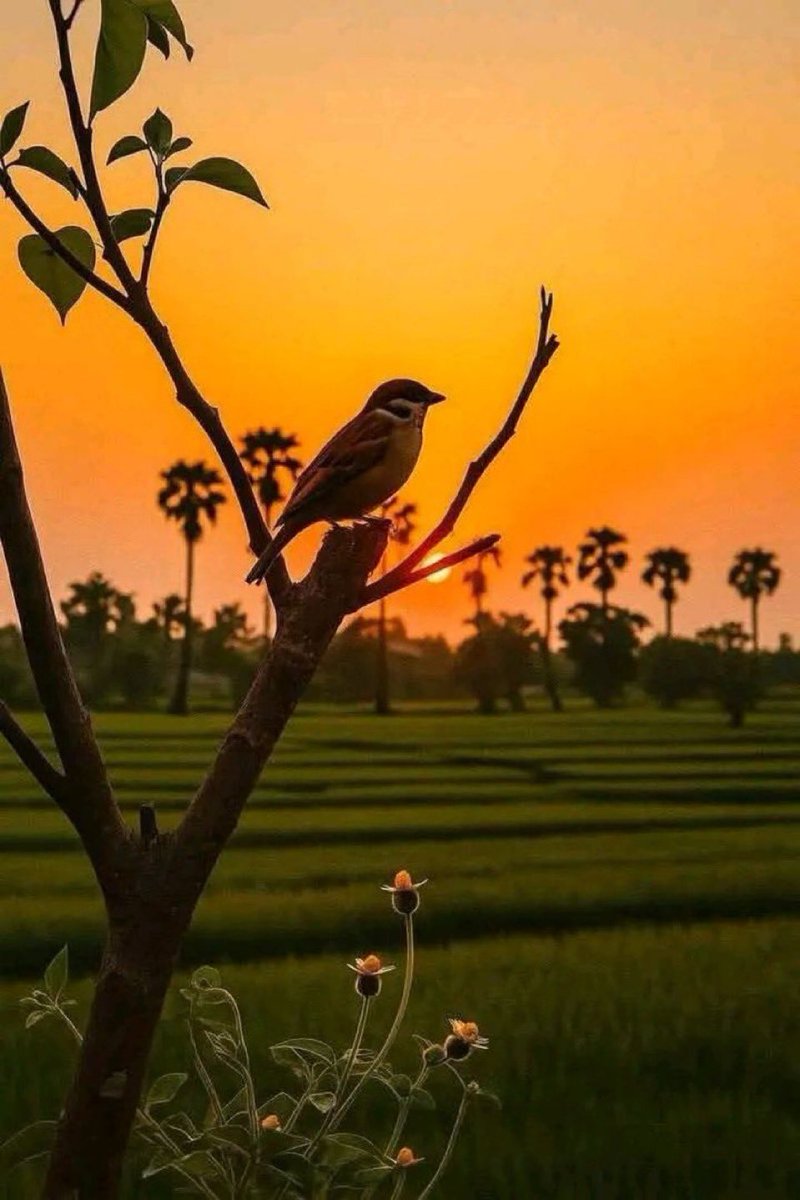 Anniecomplex© tweet media