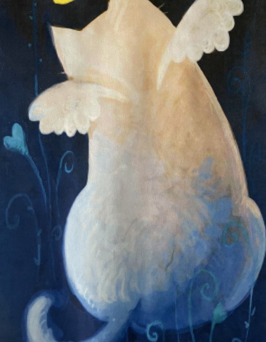 RealMonkeyTheCat 🐾💙🐸📎 tweet media