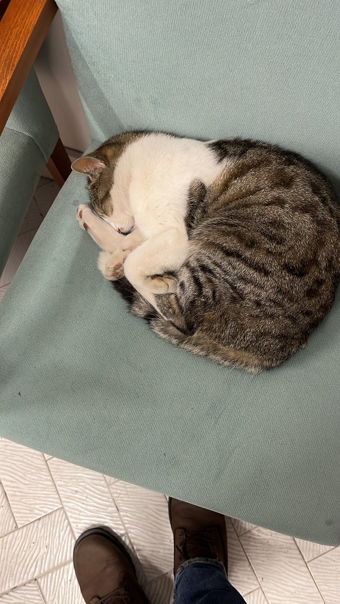 ersin aydın tweet media