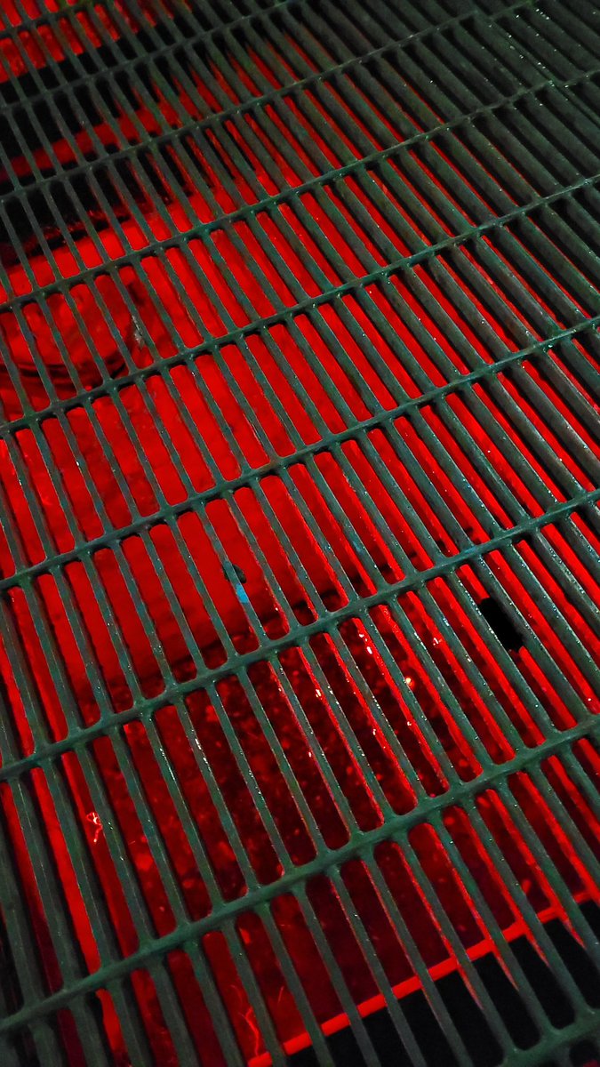 FEMSOFTWARE 🏳️‍⚧️🔞 tweet media