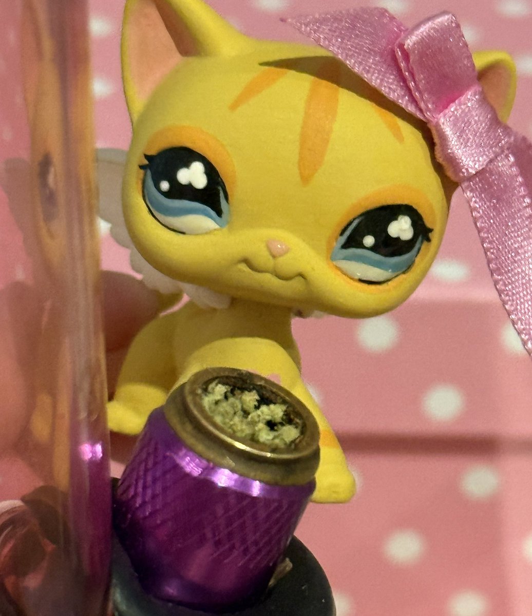 fawn ﾉ bun ˖ . ݁ ໒꒱ tweet media