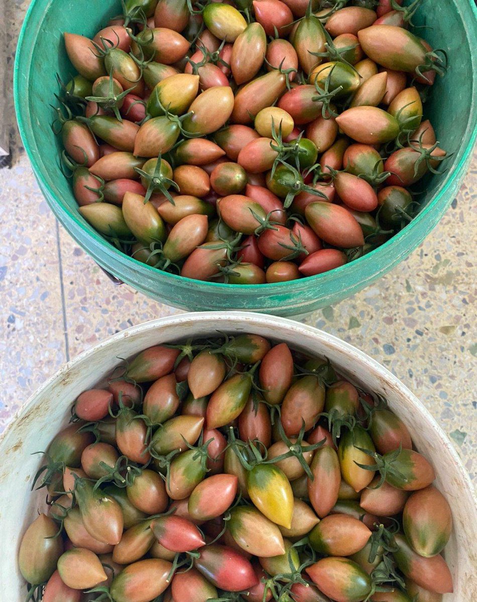 郑云瀚 ❤️ Memecoin tweet media