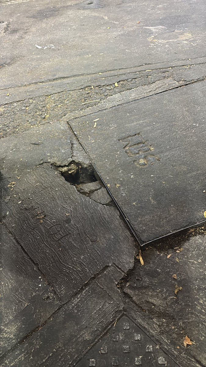 הרקון הגדול tweet media