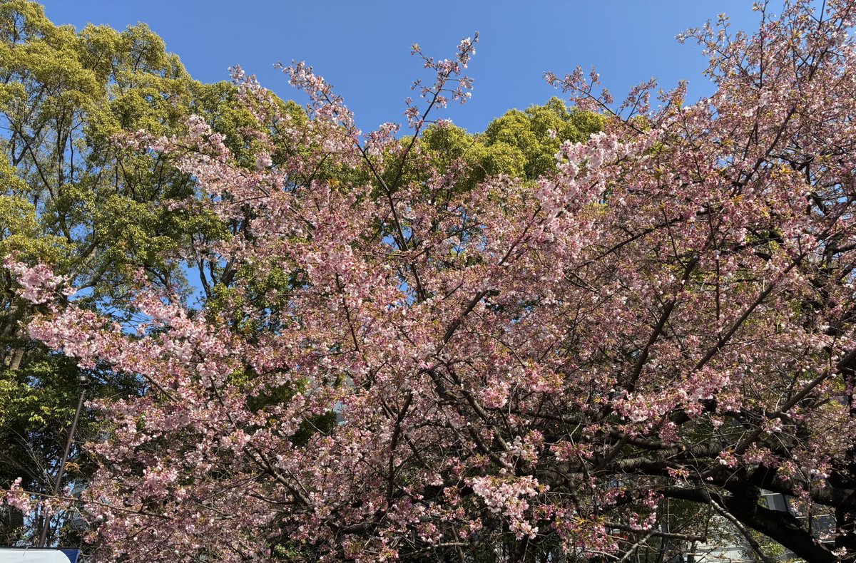 川野 剛稔 (かわの たけとし) tweet media