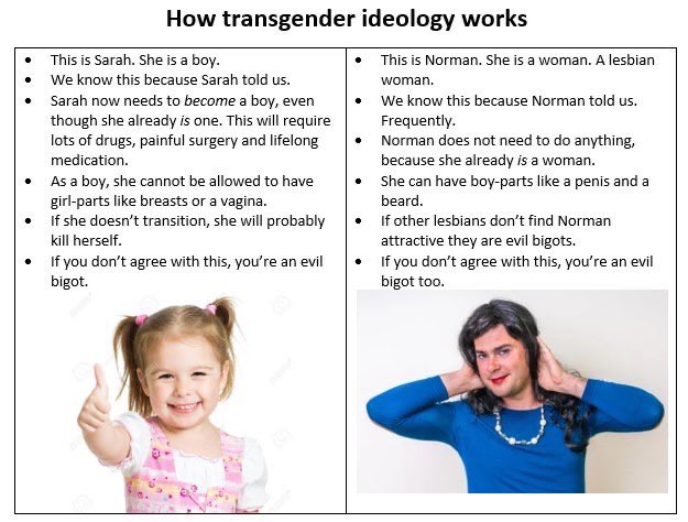 Murphy XX tweet media