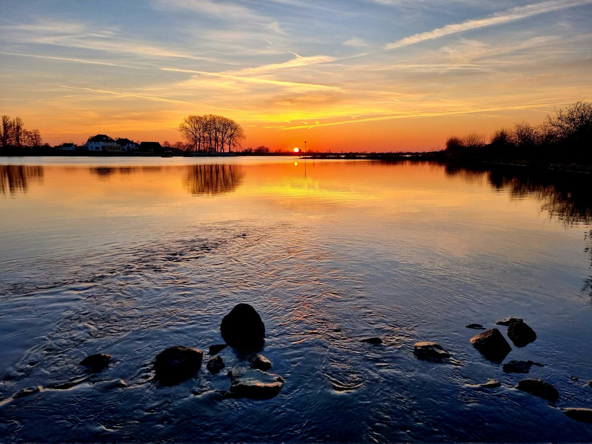 Tjark Dieterman tweet media