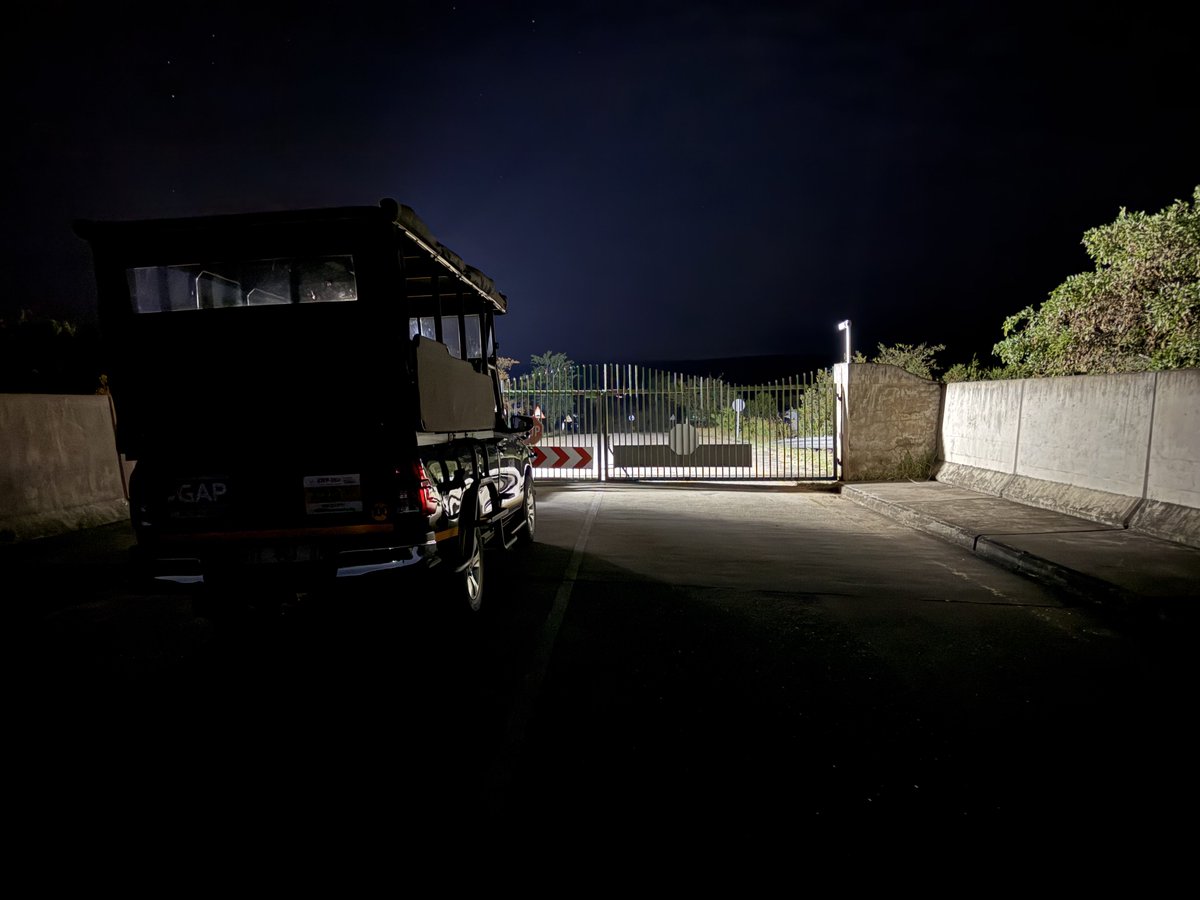 The Real KING OF THE JUNGLE tweet media