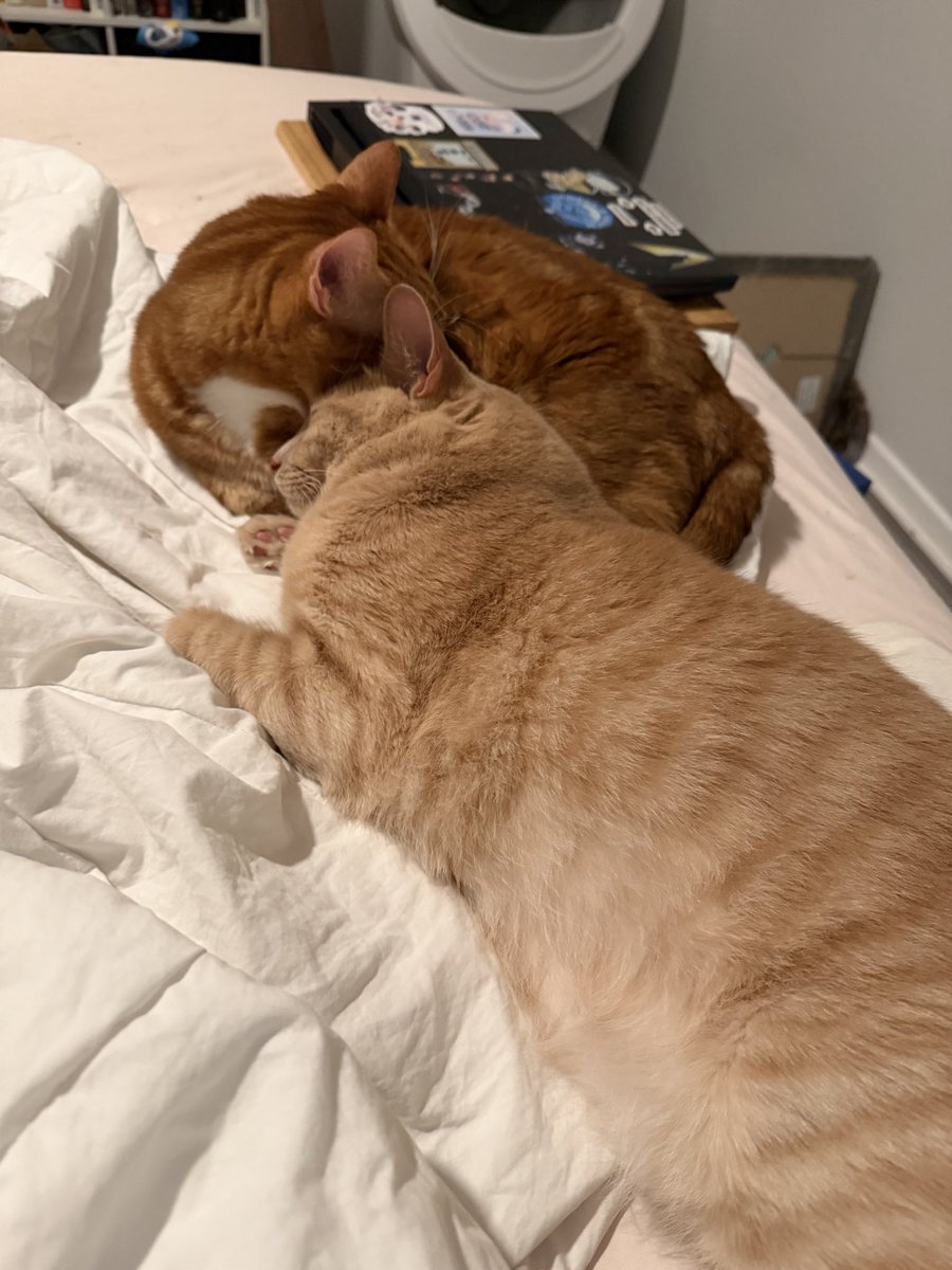 Allison ❤️‍🔥 tweet media