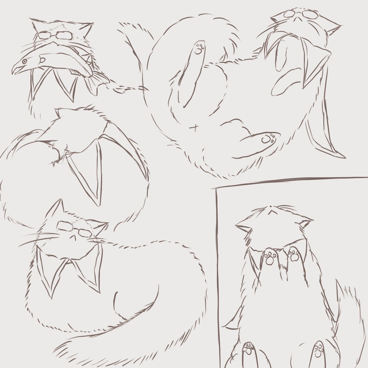 時雨il||li 🍑 il||li tweet media