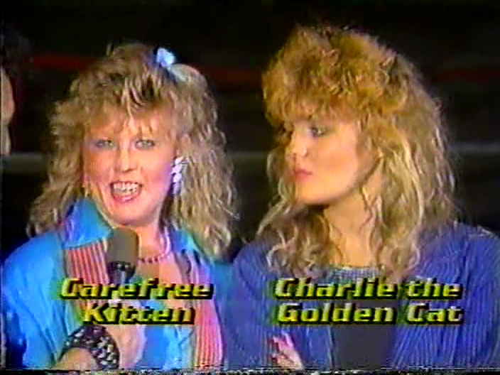 Rasslin Uploader~! (Armstrong Alley on YouTube) tweet media