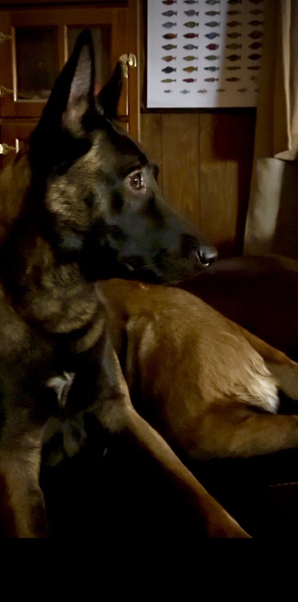 Lisa Perreault tweet media