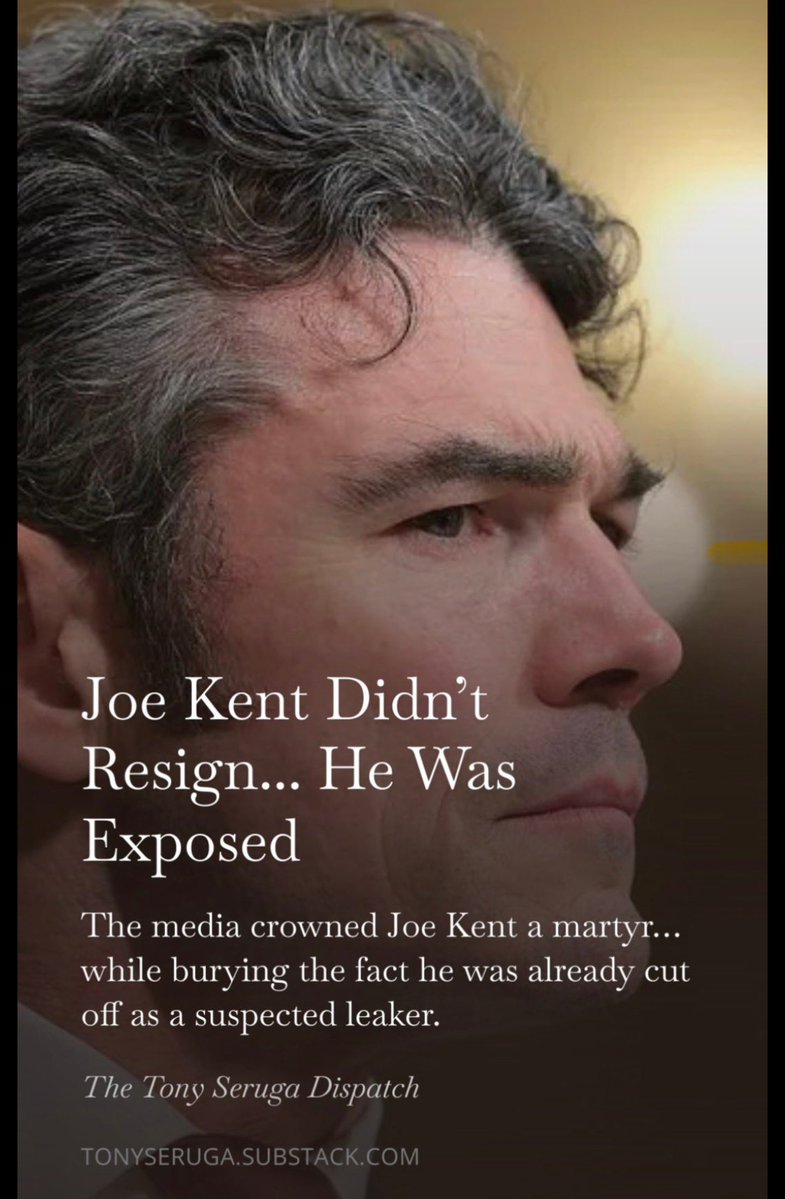 StormyT 🌿 tweet media