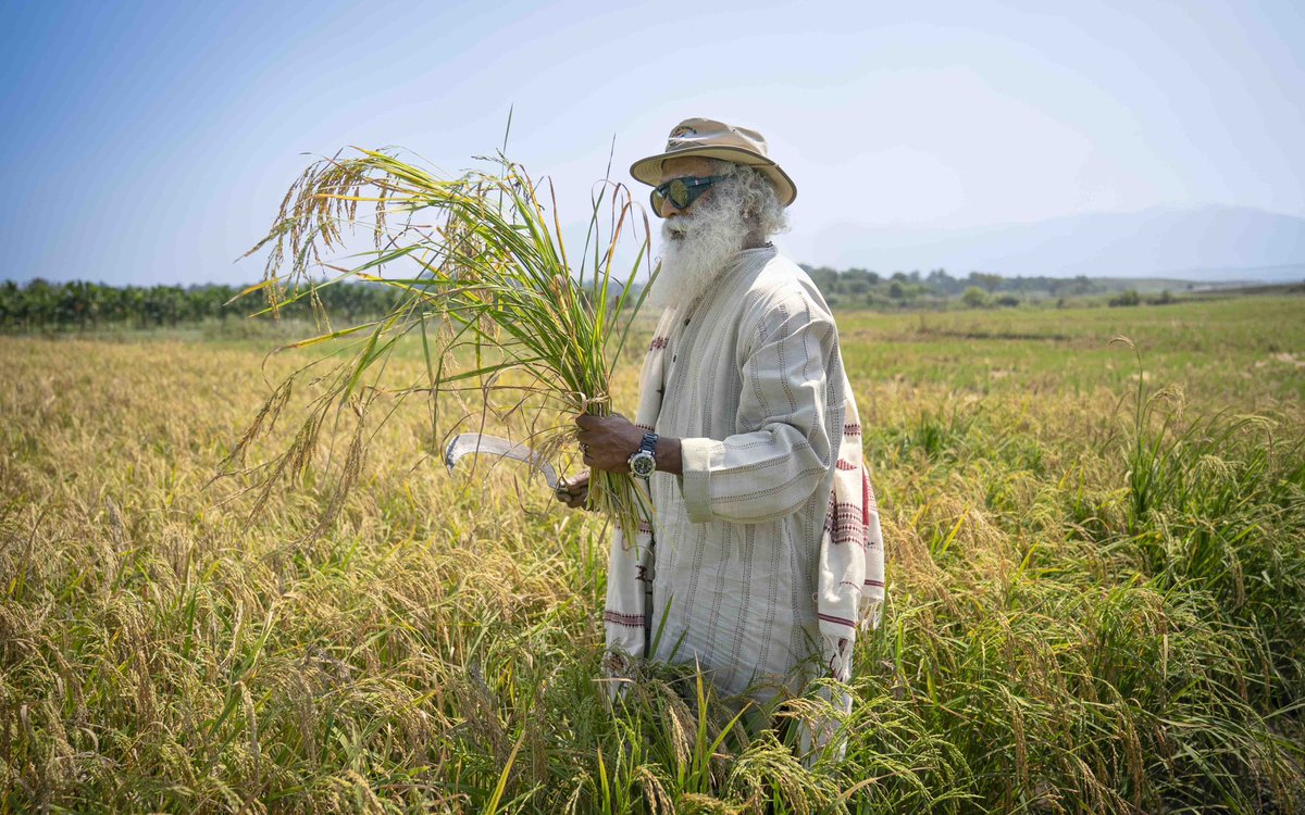 Sadhguru tweet media