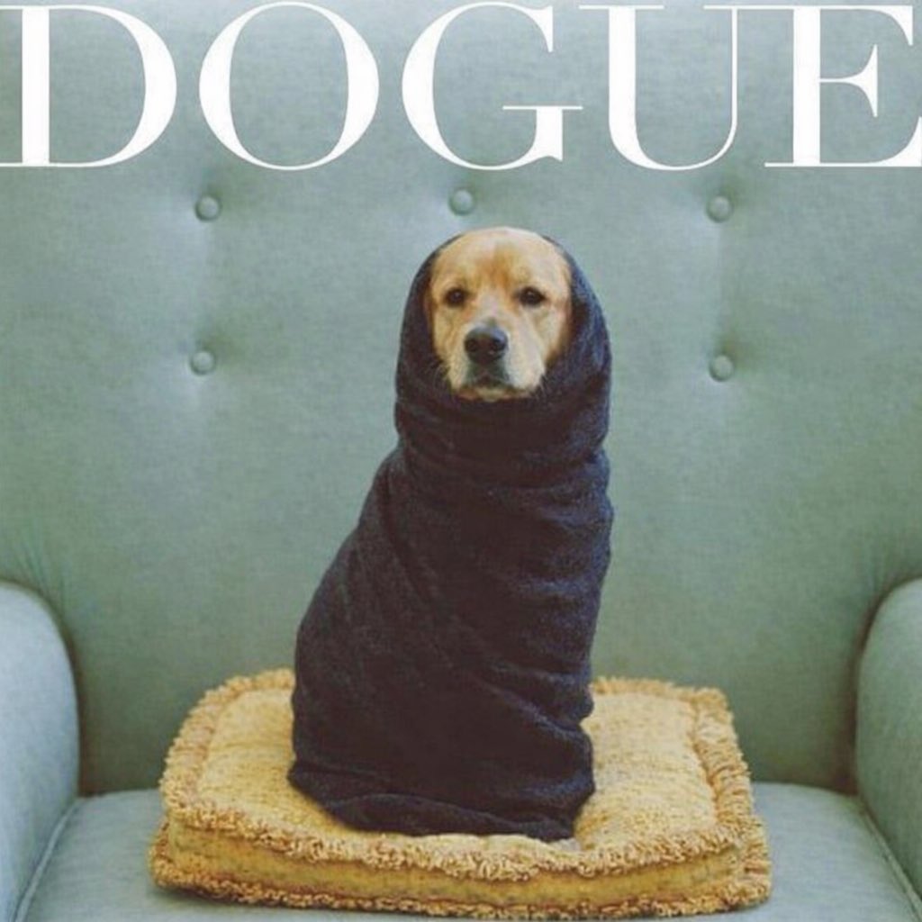 Camille🅰️ tweet media