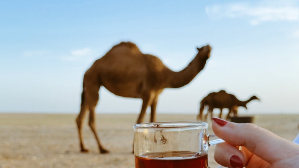 𝗗𝗘𝗖𝗘𝗠𝗕𝗘𝗥 tweet media