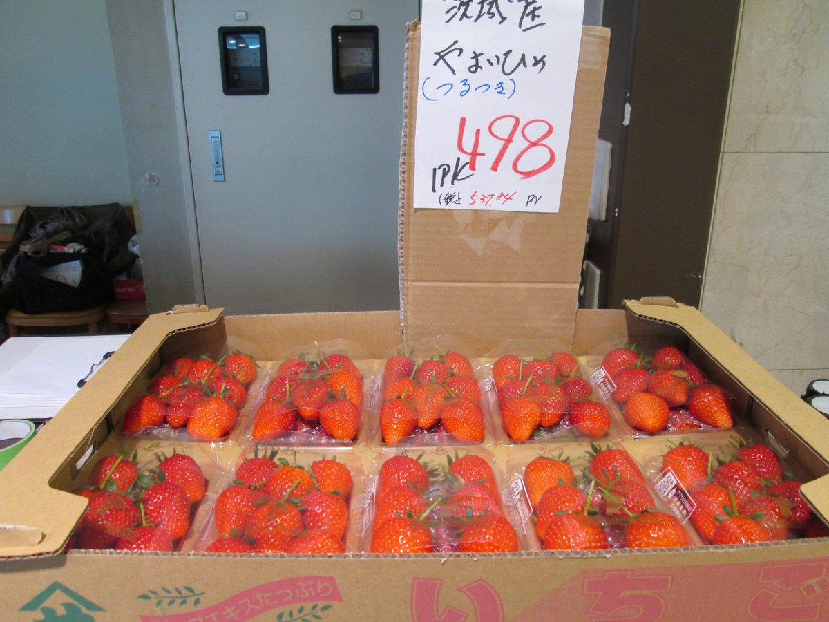 TFTビル【公式】 tweet media