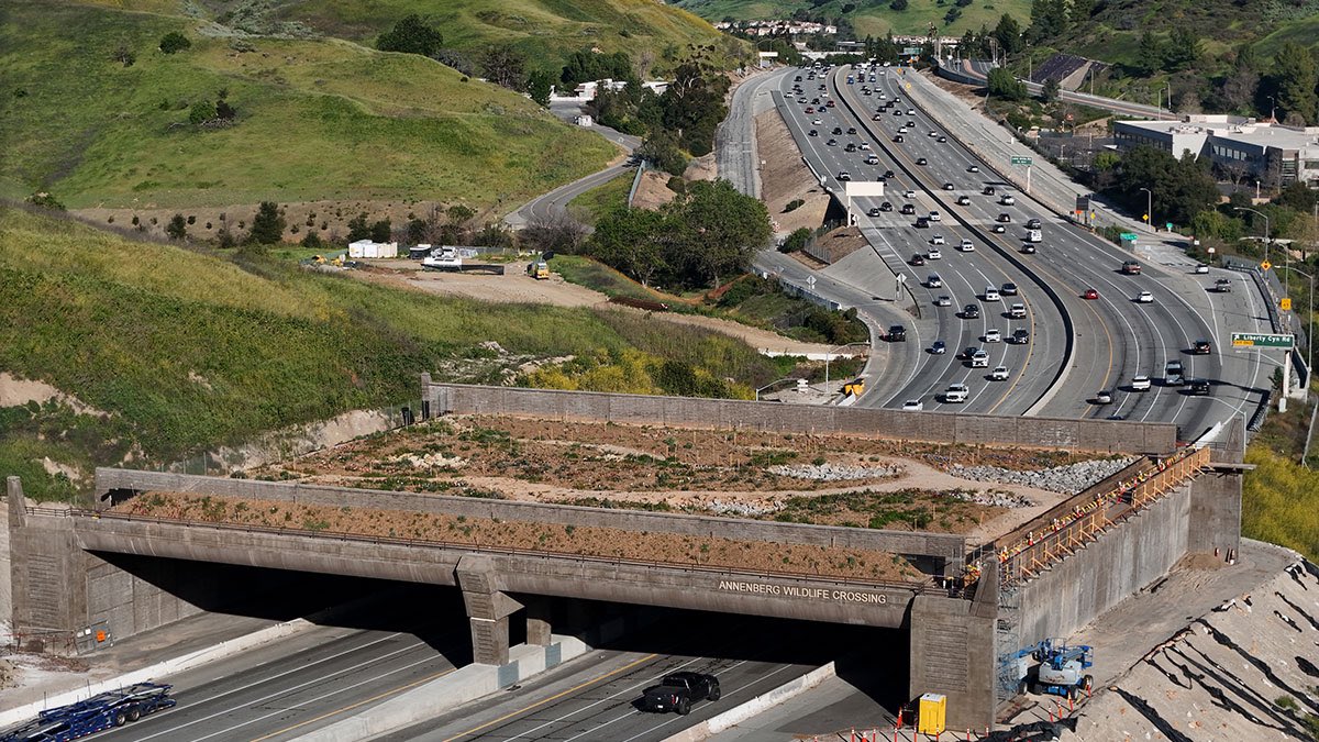 Aakash Gupta tweet media