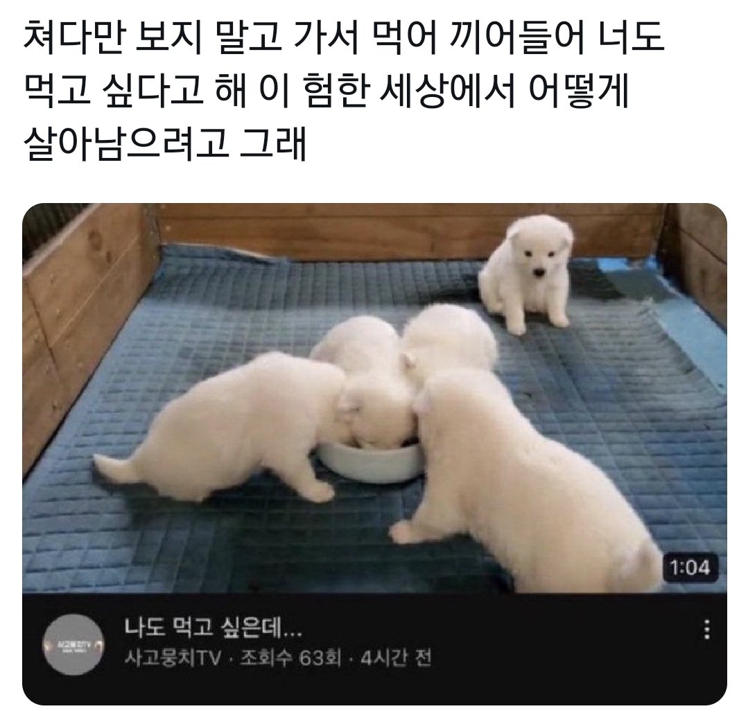퐁콜라의 짤저장계 tweet media