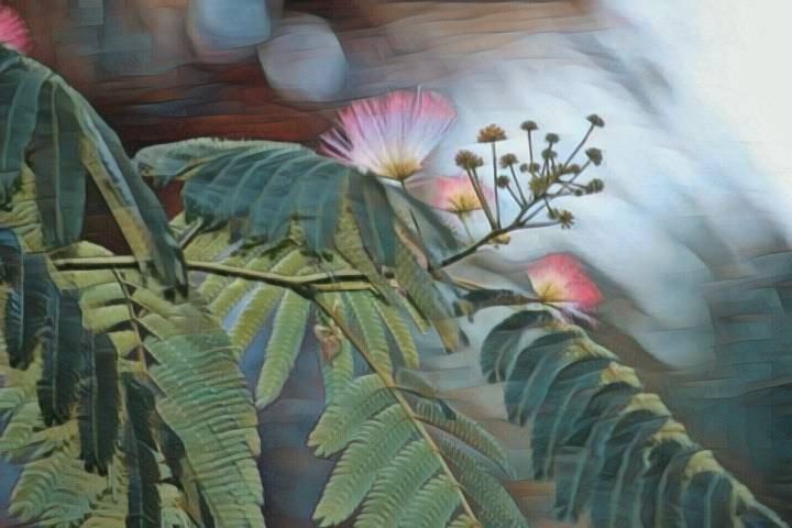 pdoodlepolly's tweet photo. Art of the Day! "Flowering Florida Tree". Buy at: https://t.co/LfzqUw7Q9s https://t.co/lHcPxKUNjn