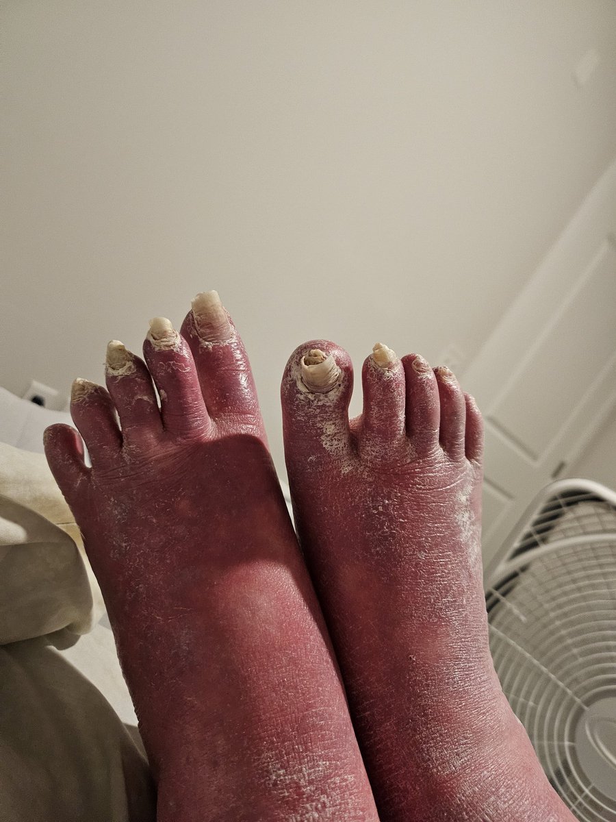 Jenny Prioli tweet media