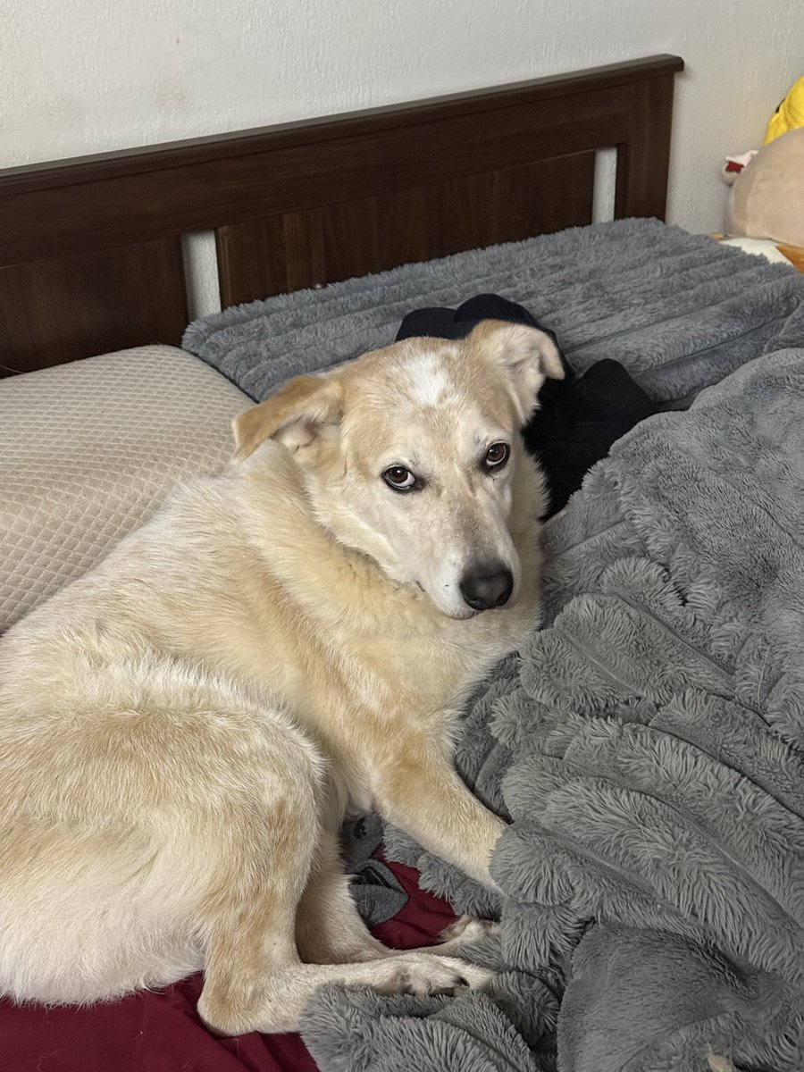 Slammageddon⚔️ @ Offkai 2026 tweet media