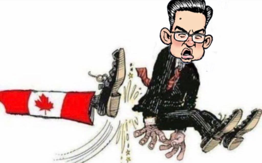 Rexie 🇨🇦 🇺🇦 🇨🇦 tweet media