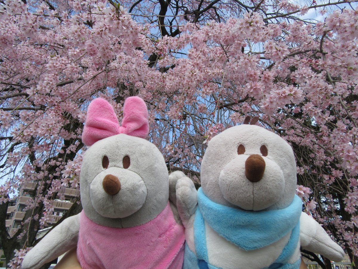 足利銀行【公式】 tweet media