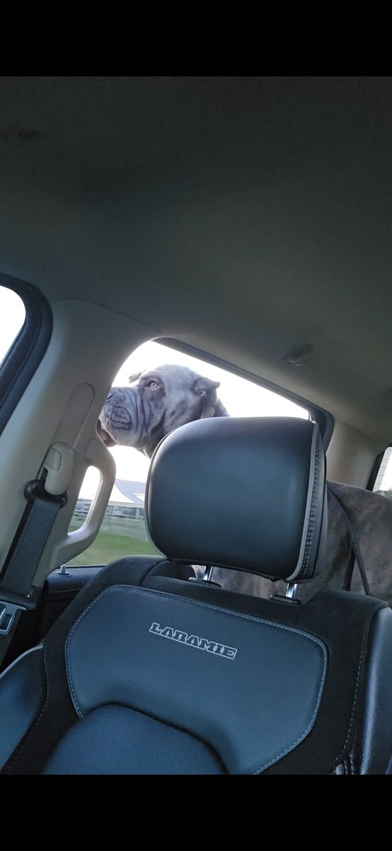 💯 Enhanced Biohacking 💯 tweet media