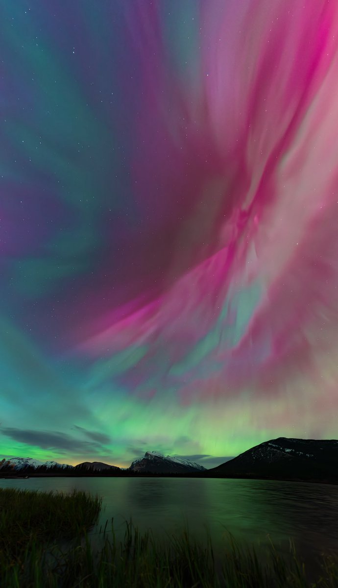 Sara Boychuk 🏔❄️ tweet media