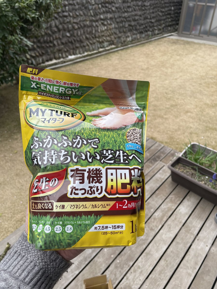 芝 JUN tweet media