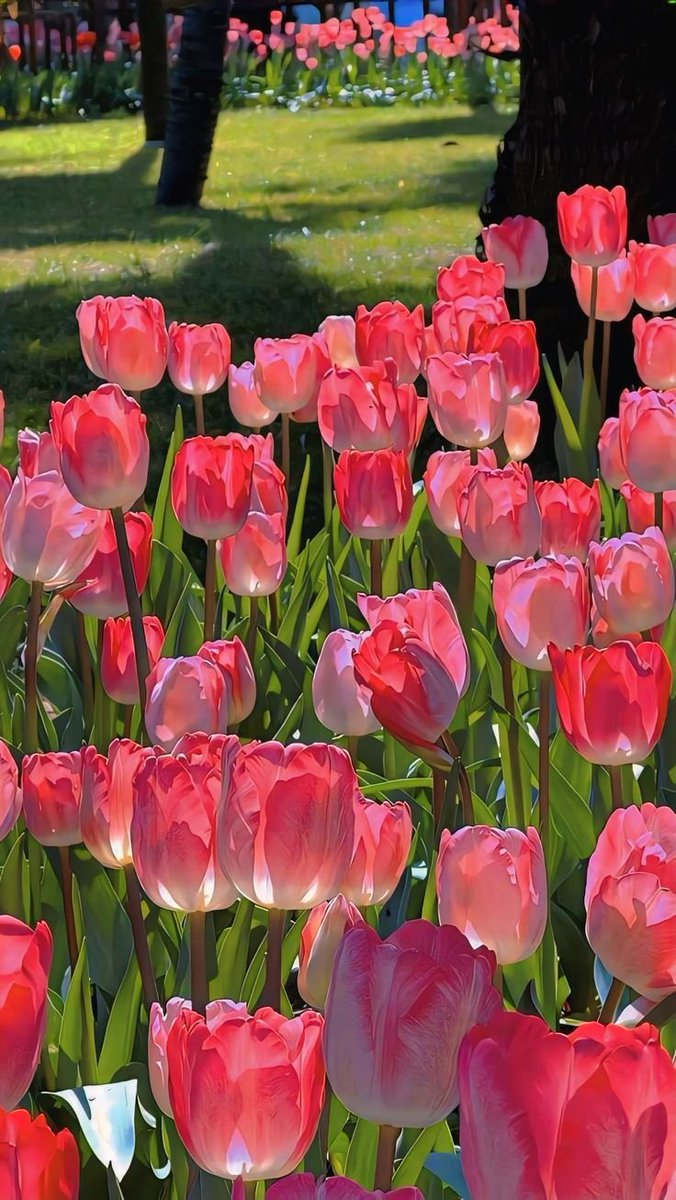 JulieParker144's tweet image. Titus 1:2 In hope of eternal life, which God, that cannot lie, promised before the #world began;

Titus 3:7 That being justified by his grace, we should be made heirs according to the hope of #eternallife.

        I N   H O P E   OF    E T E R N A L   L I F E