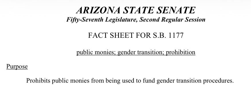 Wendy Rogers tweet media