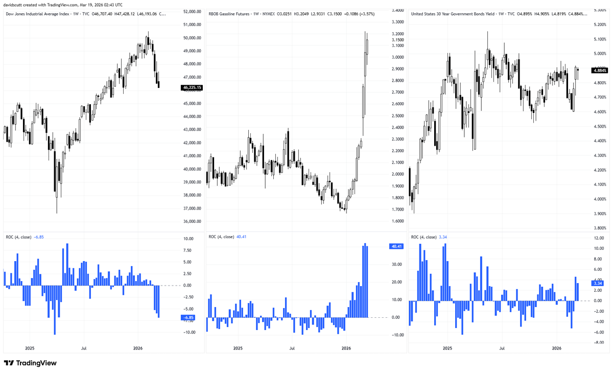 David Scutt tweet media