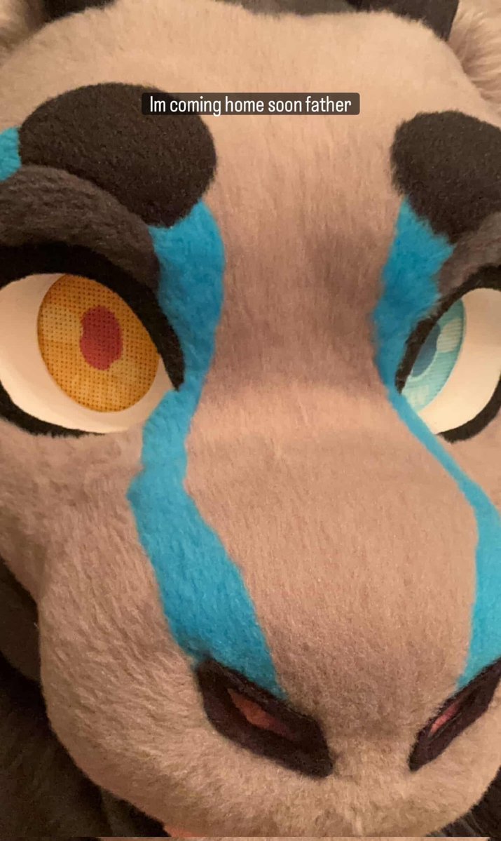 ThatOneDergon🔜TFF tweet media