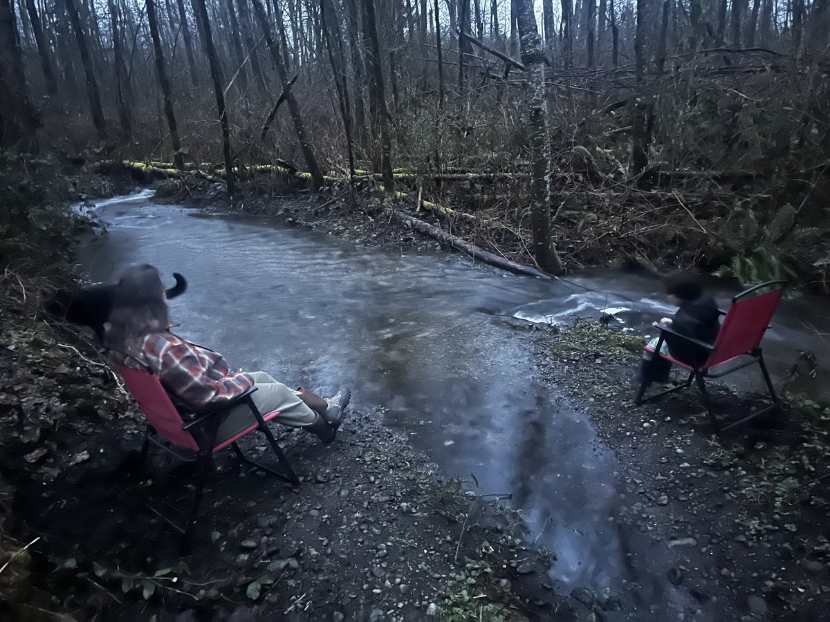 🪶Native Patriot 🇺🇸 tweet media