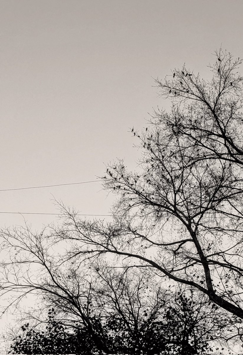 तुमसे, तुम्हारी बातें .. tweet media