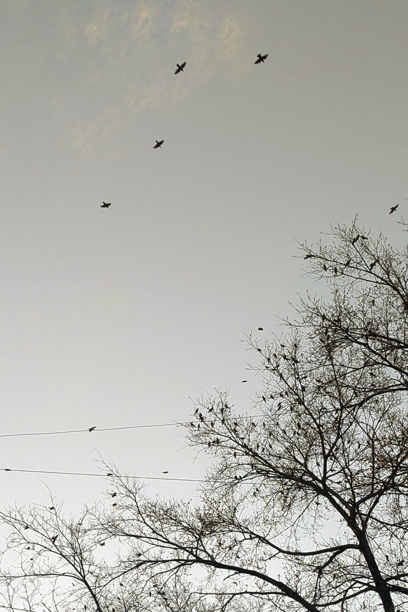 तुमसे, तुम्हारी बातें .. tweet media