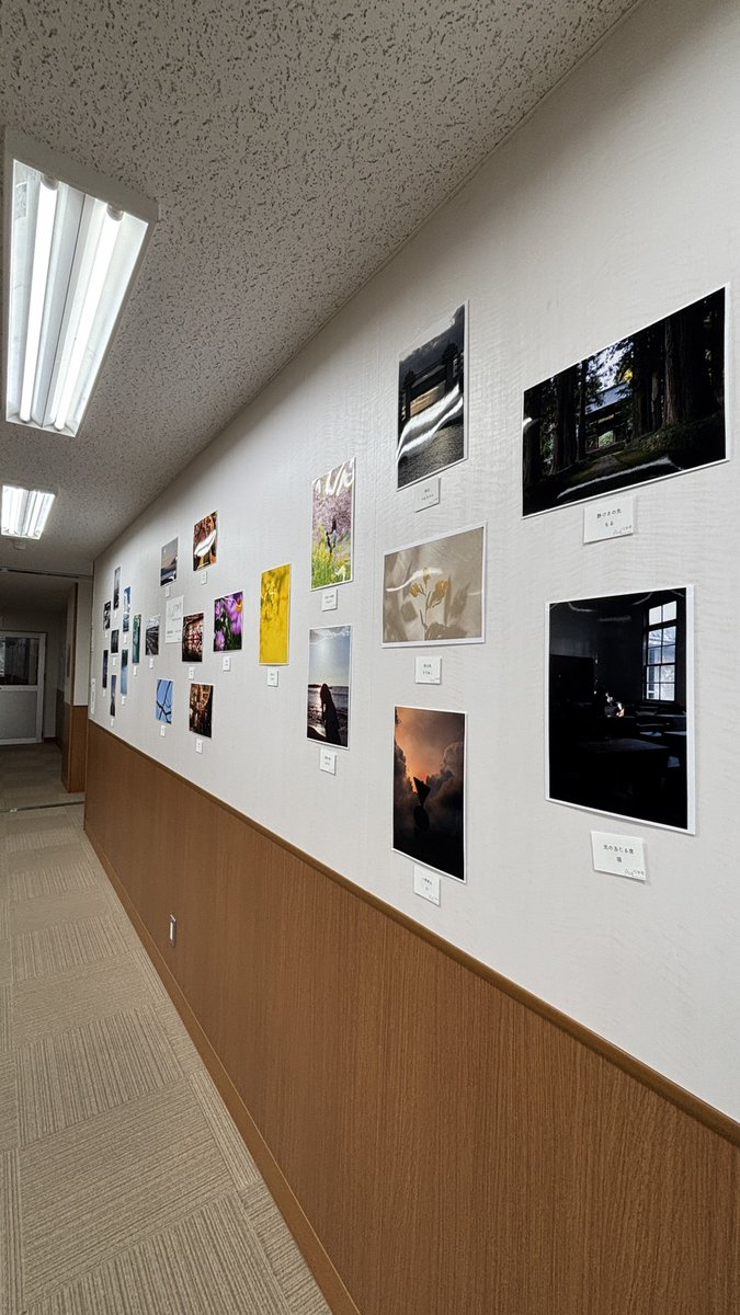 ShindaiAllPhoto's tweet photo. 【図書館写真展】
信州大学中央図書館で写真展を行っています。2階トイレの横にて5/8(金)まで展示しております。部員が撮ってきた素敵な写真を展示しておりますのでぜひお越しください！ https://t.co/ZTnmcZBvIf